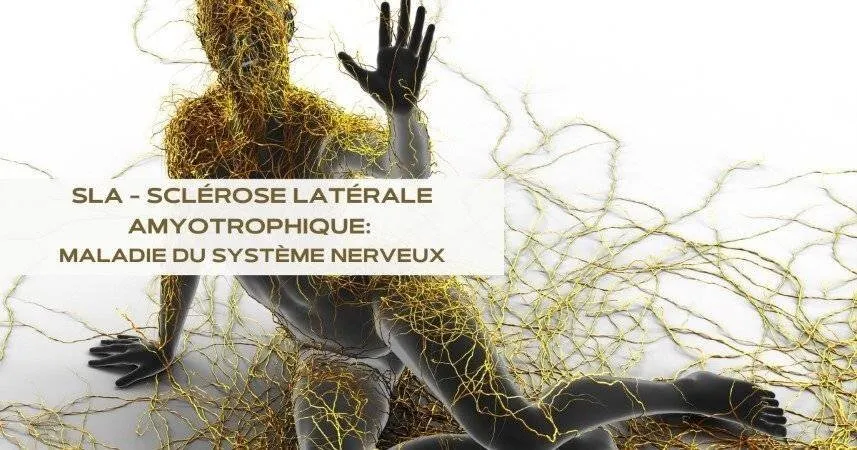SLA sclérose latérale amyotrophique Maladie du système nerveux