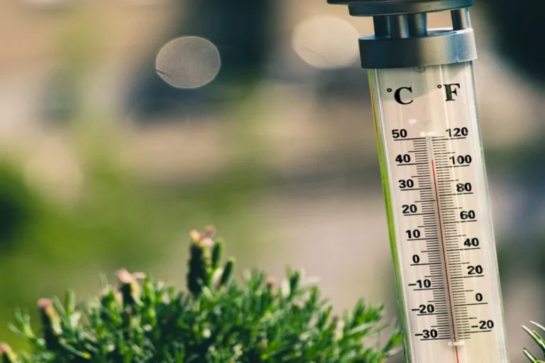 2025 entre chaleur record et extrêmes climatiques, selon Copernicus