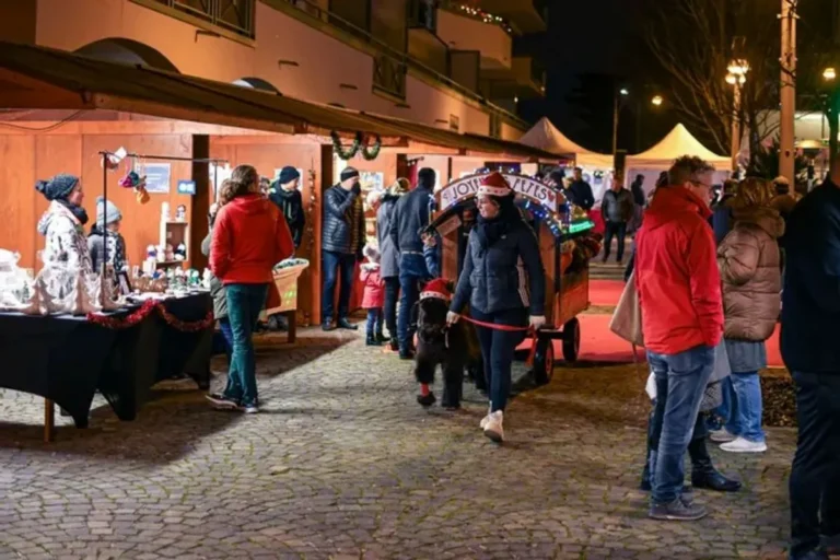 Deux marchés de Noël en France: Riorges et Pont-à-Mousson