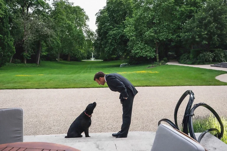 Animaux en politique : anecdotes et histoires insolites