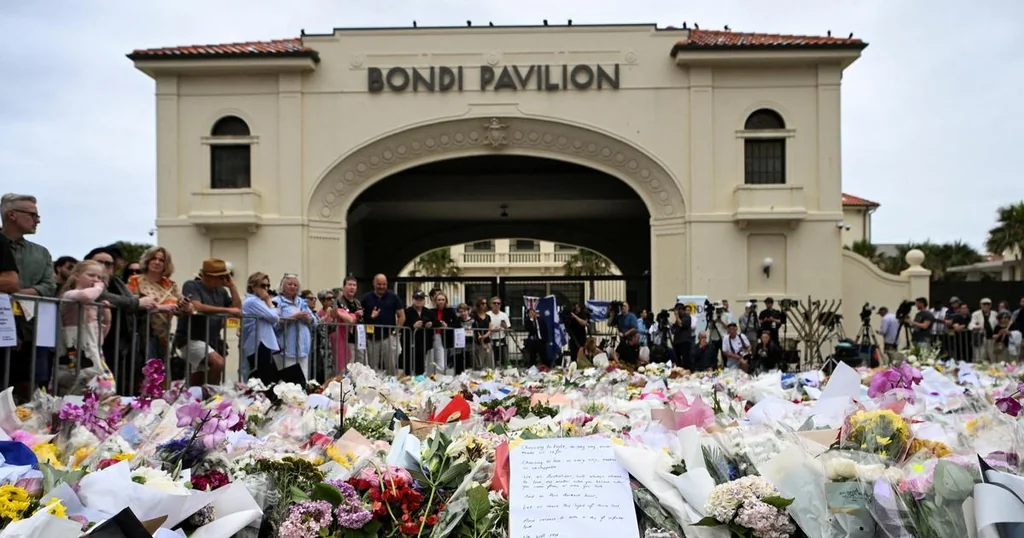 Bondi Beach: Ahmed al Ahmed désarme un assaillant
