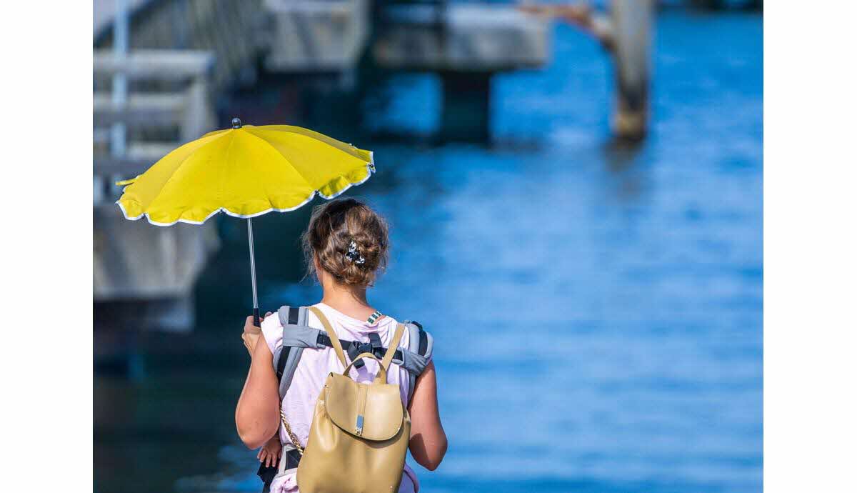 Image illustrant l'année 2025 potentiellement la plus chaude