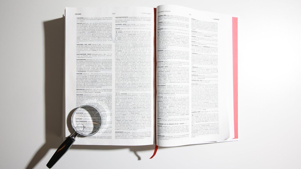 Image Le Robert affichant les mots consultés 2025