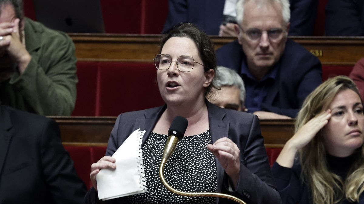 Débat sur le budget de la sécurité sociale et les écologistes à l’Assemblée