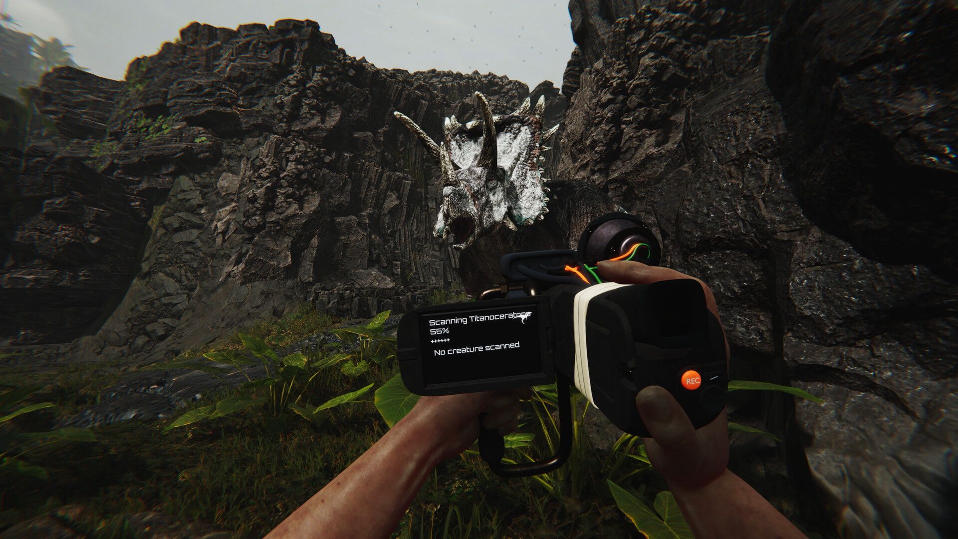 Paysage préhistorique luxuriant du jeu vidéo Ferocious