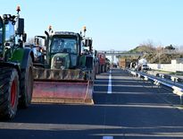Des agriculteurs issus de différents syndicats convergent vers le centre-ville de Toulouse.