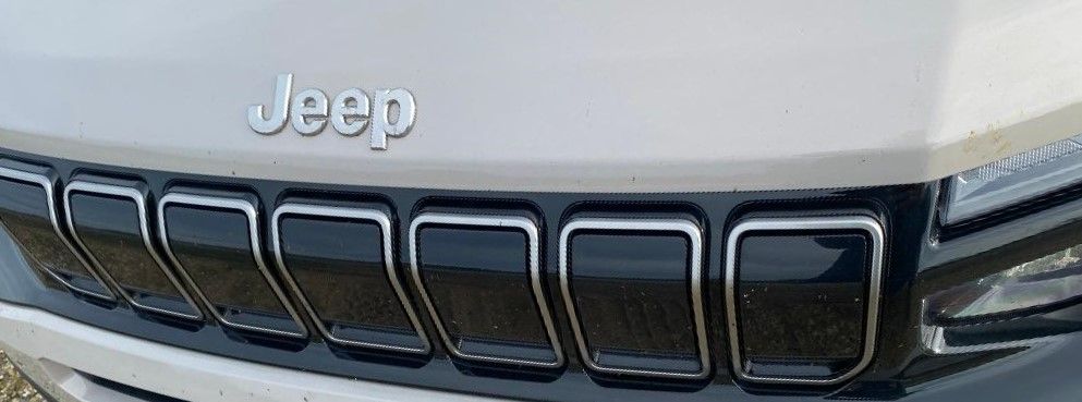 Calandre emblématique