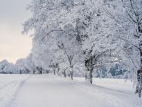 Doutes sur les informations météo