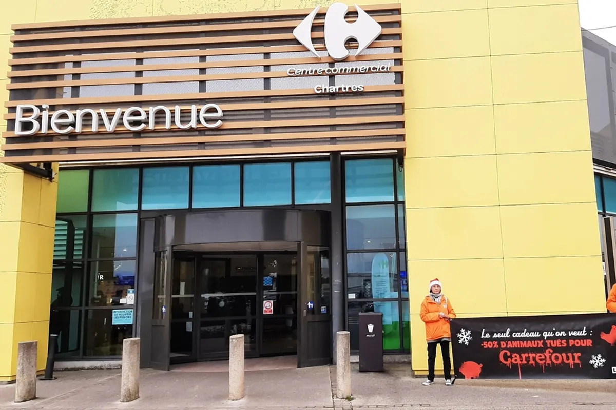 Mobilisation L214 devant Carrefour à Chartres (bénévoles avec bonnets de Noël)