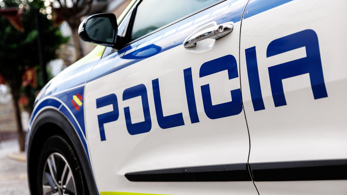 Vue d’une zone rurale près d’Elche, Espagne