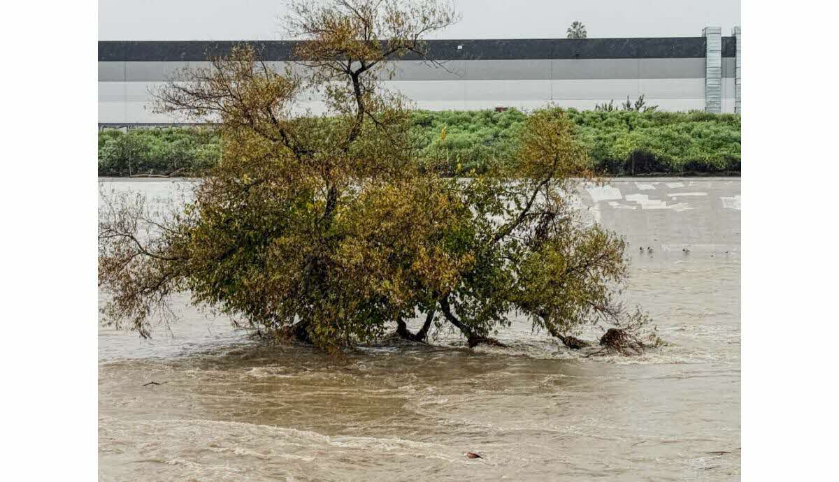 Vue générale des zones en vigilance orange