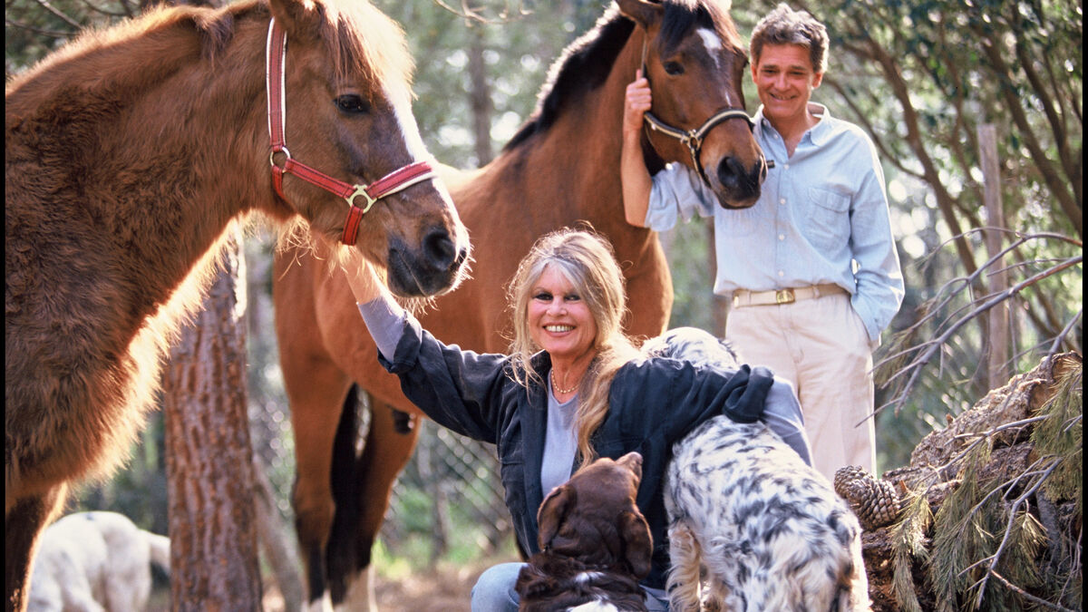 Vue du domaine de La Garrigue proche de Saint-Tropez