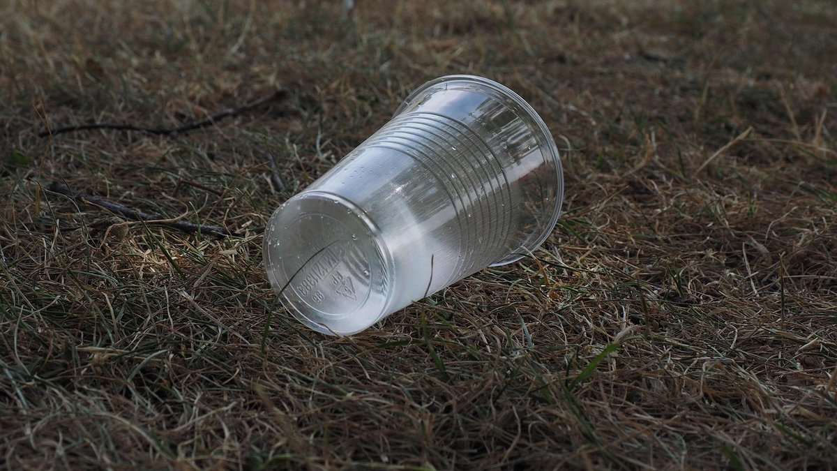 Gobelets jetables en plastique illustration montrant l'interdiction