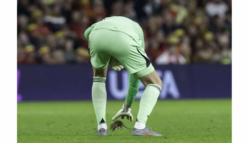 Moments insolites du sport 2025: rat sur le terrain et sauvetages