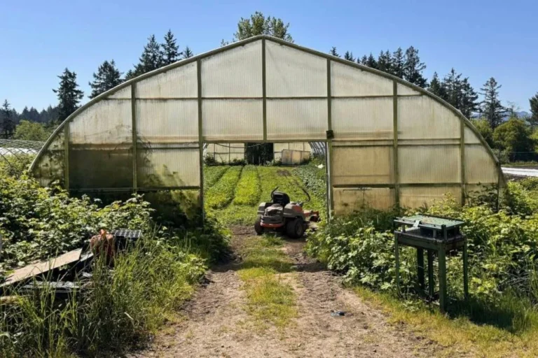 Sécurité alimentaire à Vancouver Island : un hub de récolte pour l'avenir