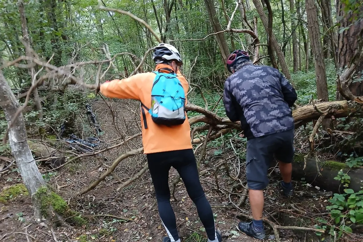 Parcours de randonnée dans les bois autour de Chevannes