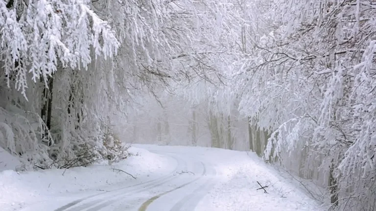 Vigilance neige et grand froid: 30 départements en alerte fin 2025