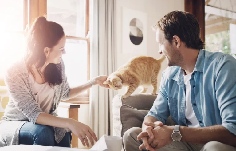 Le parasite du chat, facteur clé de l’infertilité masculine en hausse