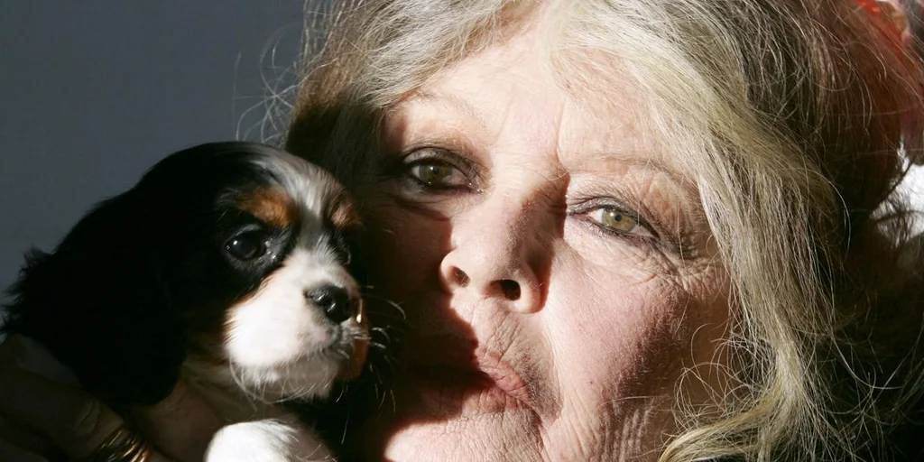 Brigitte Bardot: derniers vœux et avenir de la Fondation Bardot