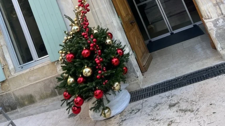 Cadenet organise une collecte écoresponsable des sapins de Noël