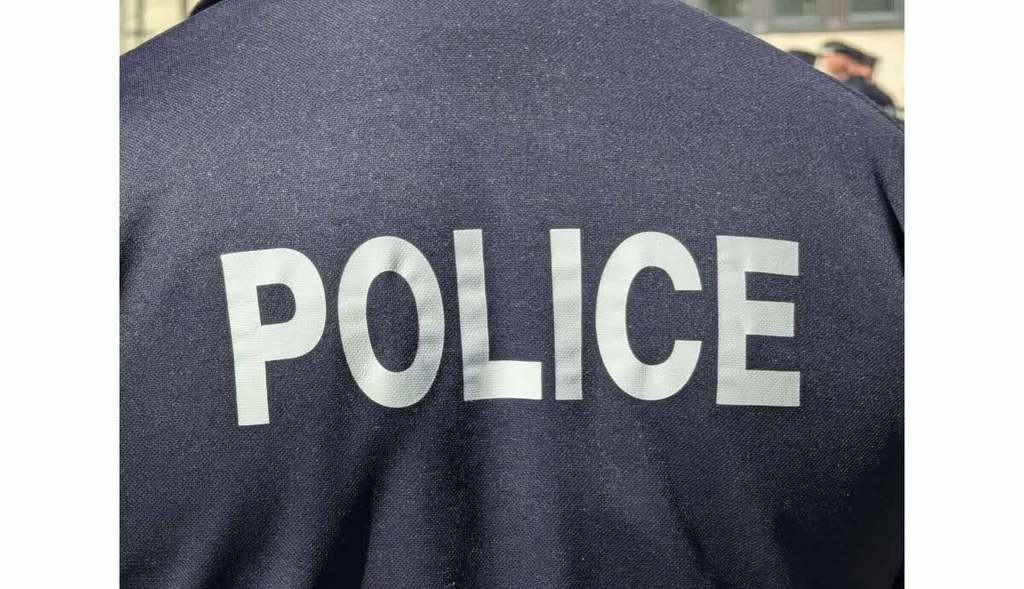 Cinq interpellations liées à l'incendie du collège Champollion Dijon
