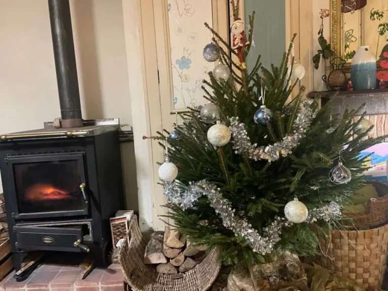 Collecte des sapins: Veules-les-Roses, Langres et Lyon en janvier 2026
