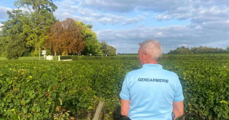 Cycliste mort en Gironde à Mongauzy