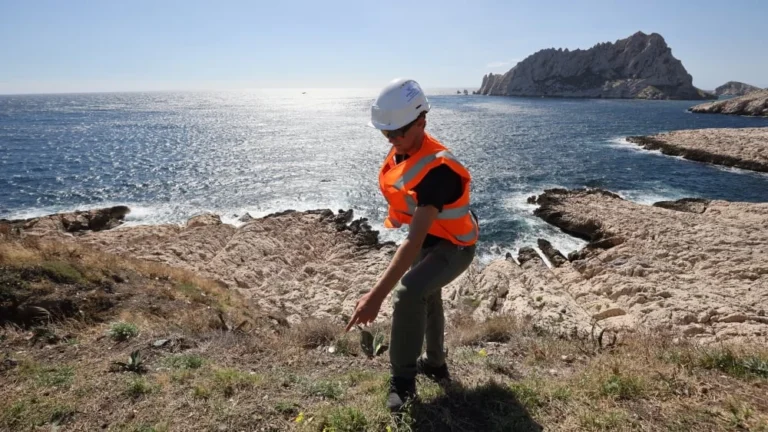 Marseille : dépollution des calanques, une course contre la montre