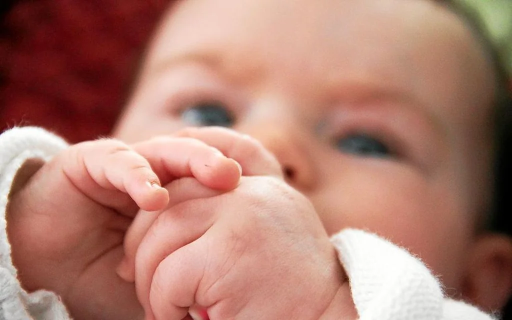 État civil du 20 janvier: naissances et décès à Vannes et Morlaix