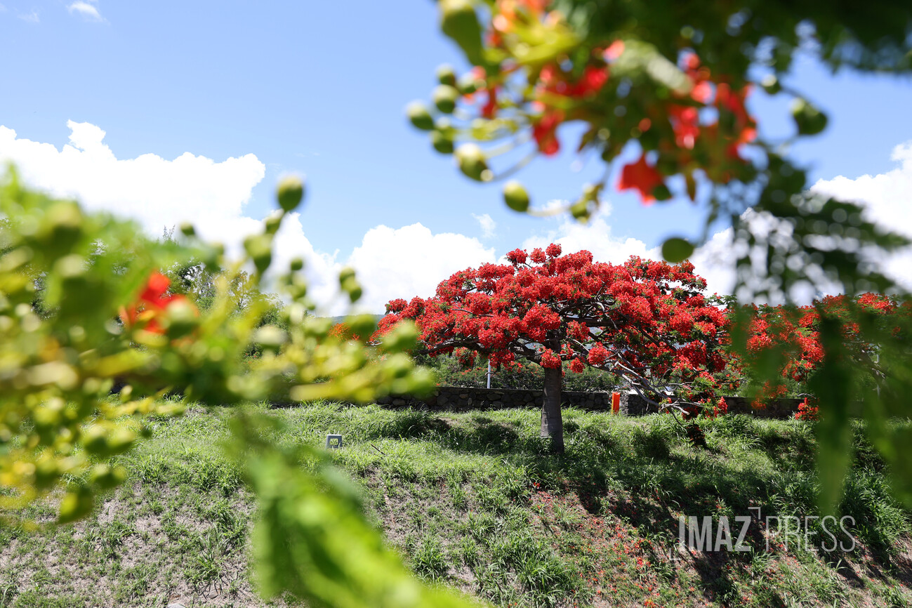 Météo calme sur l'île de La Réunion au réveillon