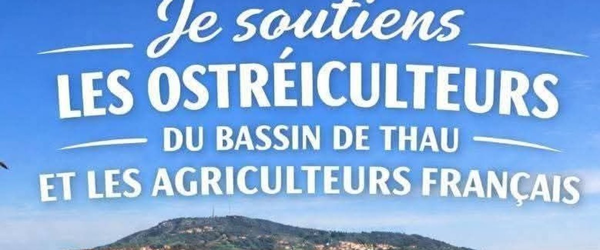Réactions autour de l’interdiction des huîtres et moules à Thau