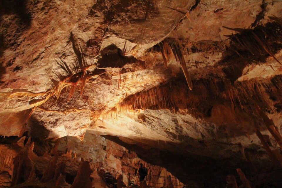 L’Aven Armand et sa forêt de stalagmites.
