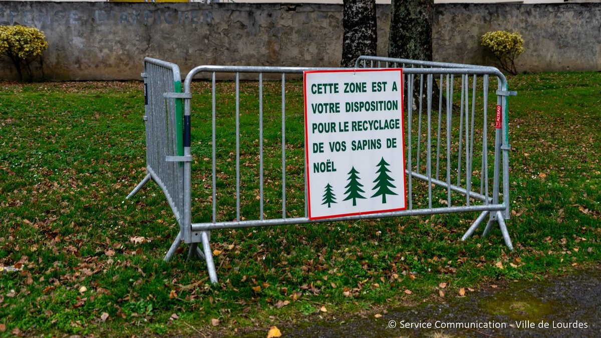 Vue d’une zone de collecte de sapins à Sarsan