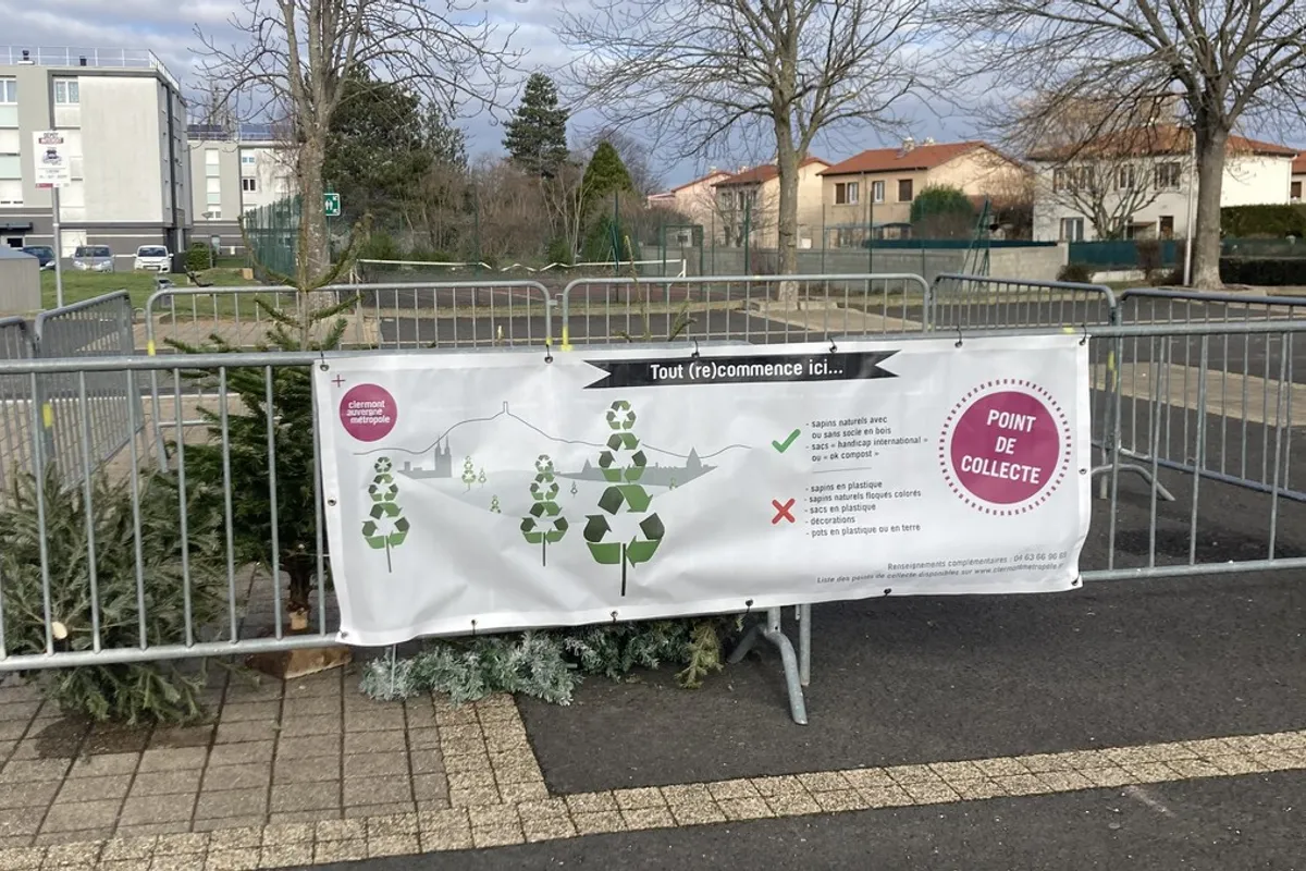 Point de collecte d’un sapin à Aulnat