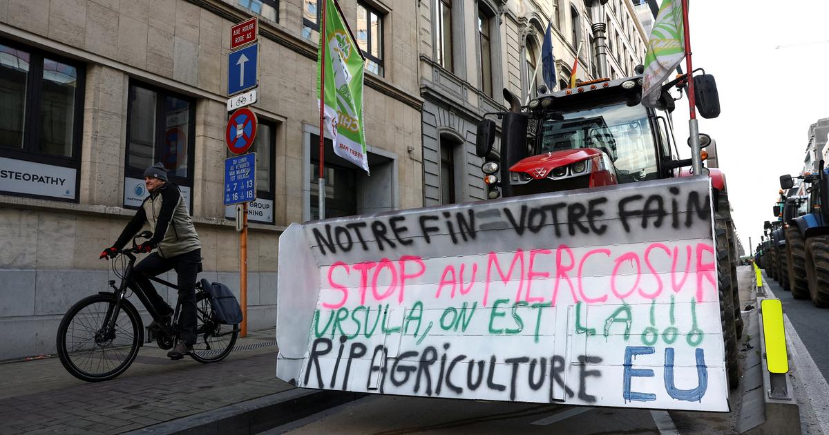 Image montrant les discussions sur l’accord Mercosur et UE