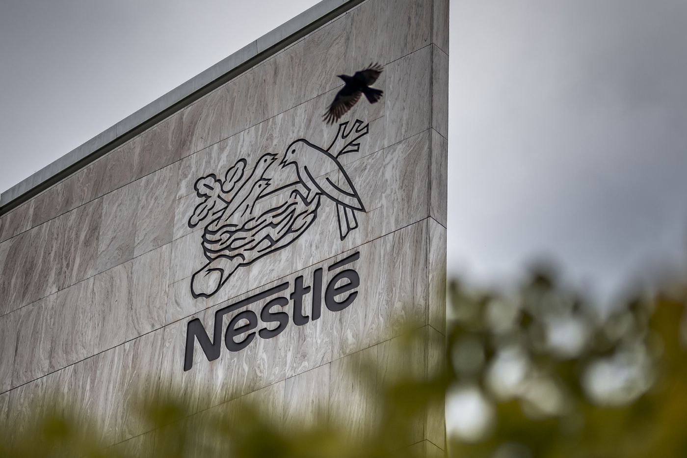 Rappel de laits infantiles Nestlé en Europe (photo)