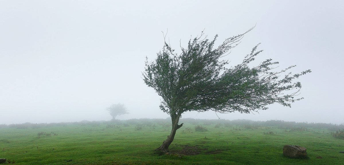 Vues des vagues et du littoral normand pendant Goretti