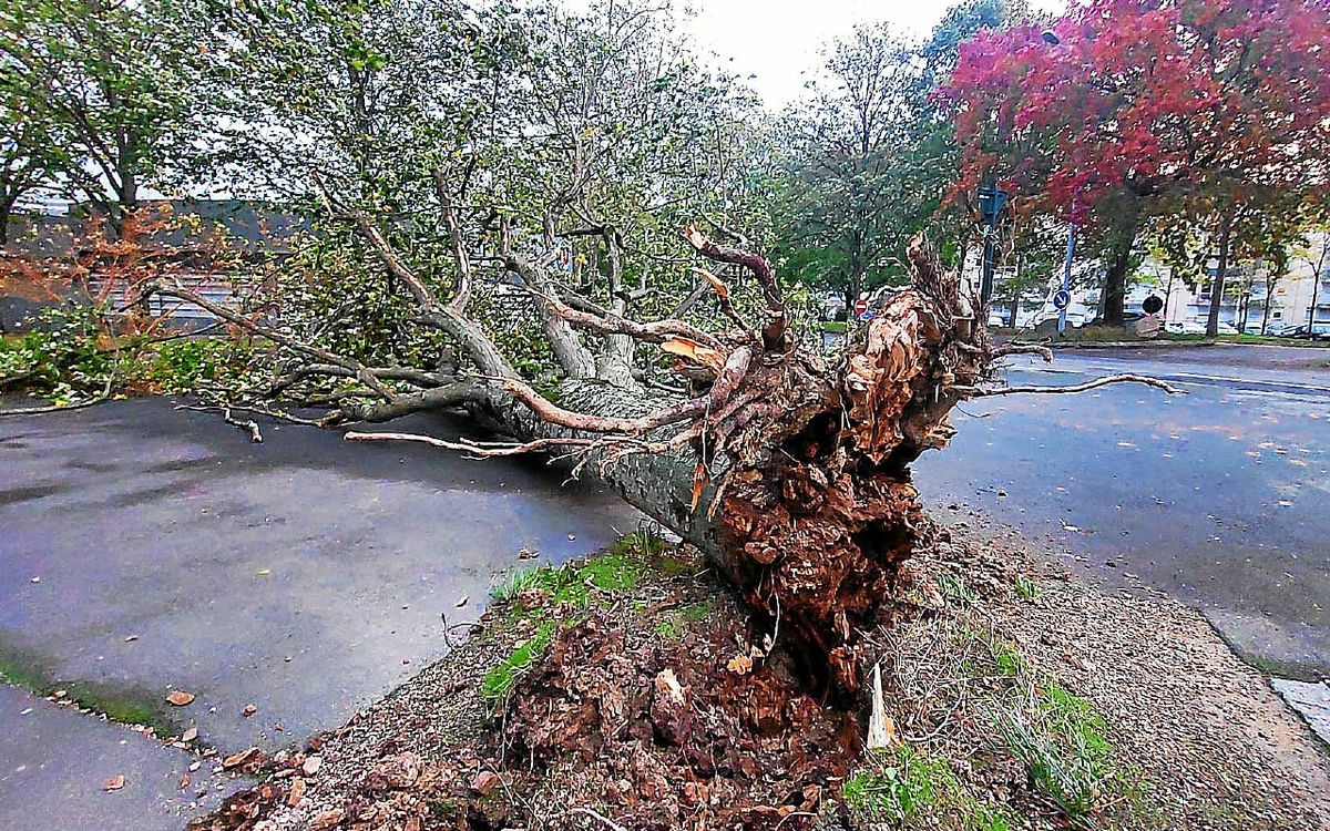 Parcs et équipements sportifs fermés à Rennes pendant Goretti