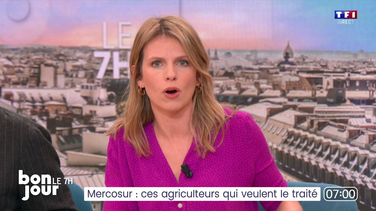 Capture du JT du mercredi 14 janvier à 7h (TF1)