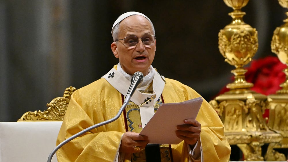 Pape Léon XIV lors d'une audience privée au Vatican
