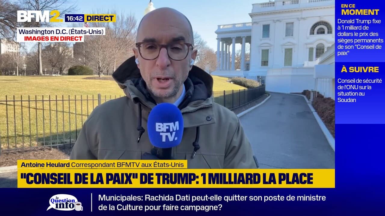 Illustration du Conseil de la paix annoncé par Trump