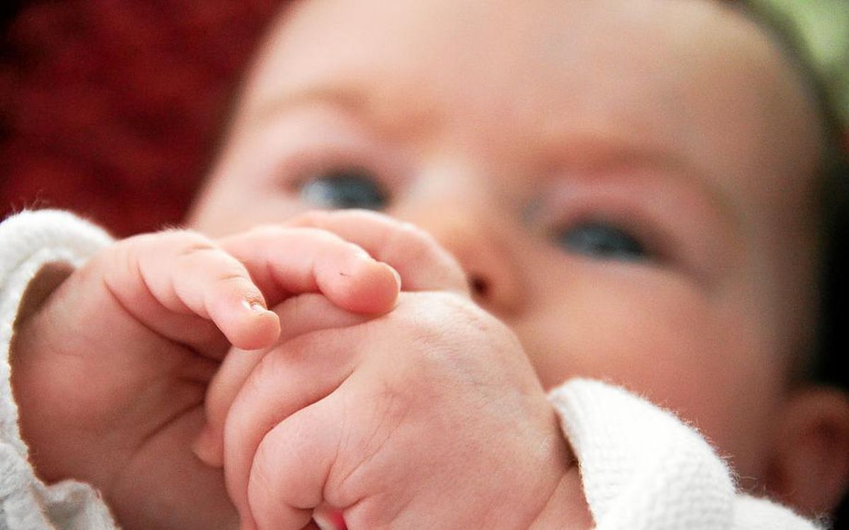 Tableau des naissances et décès à Vannes et alentours