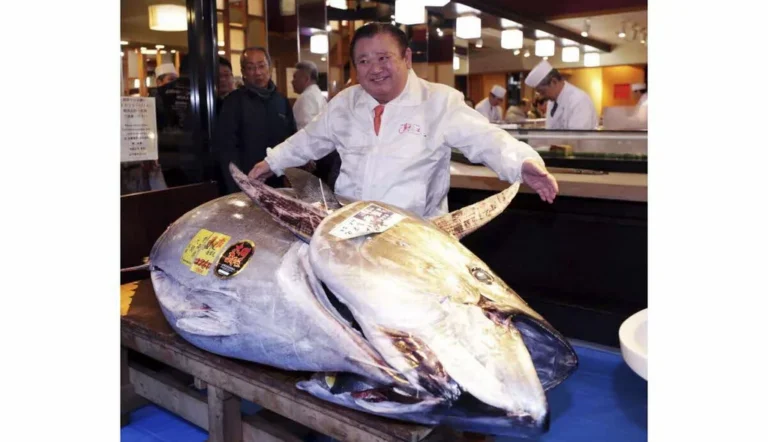 Japon: le roi du thon dépense 2,8 M€ lors d'une enchère record