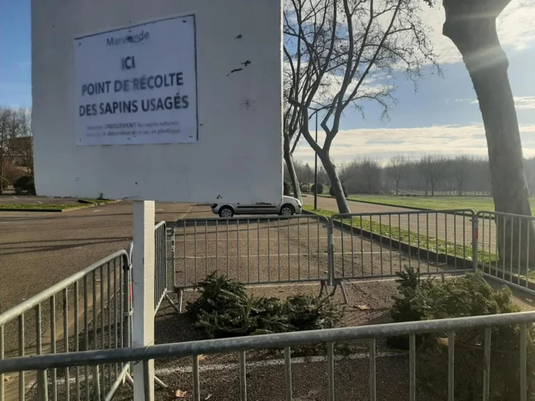 Marmande et Tonneins mettent en place des points de collecte pour les sapins de Noël usagés