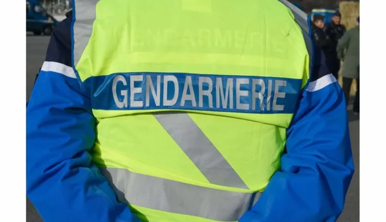 Nantes : un chauffard condamné à 5 ans de prison pour un accident mortel grâce à une émission télé