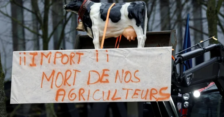Policier grièvement blessé à l’œil à Strasbourg