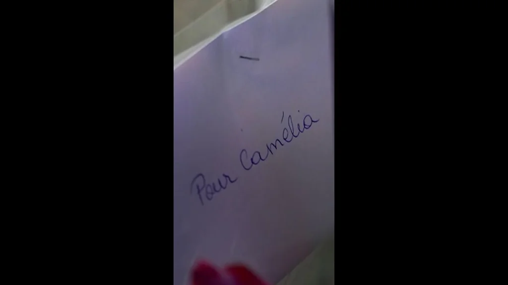 Suicide de Camélia : les derniers SMS et les enjeux