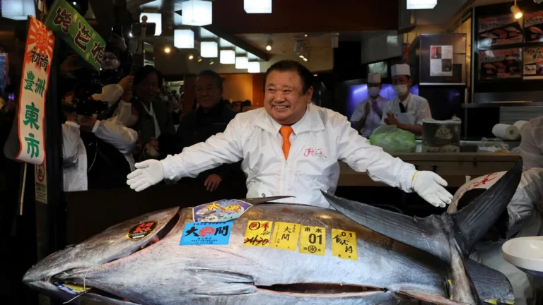 Thon rouge: enchère record à Tokyo pour 243 kg à 2,8 M€