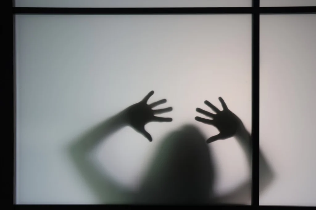 Traumas et réinsertion: soigner pour prévenir les violences