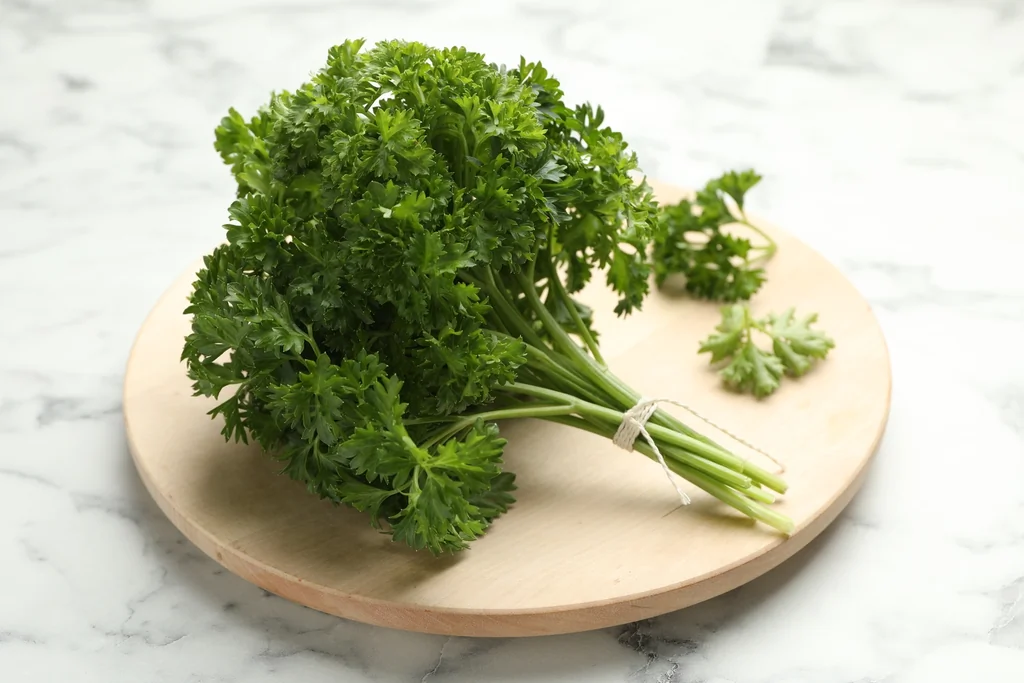 Comment conserver le persil frais plus de 10 jours au frigo ou congélateur